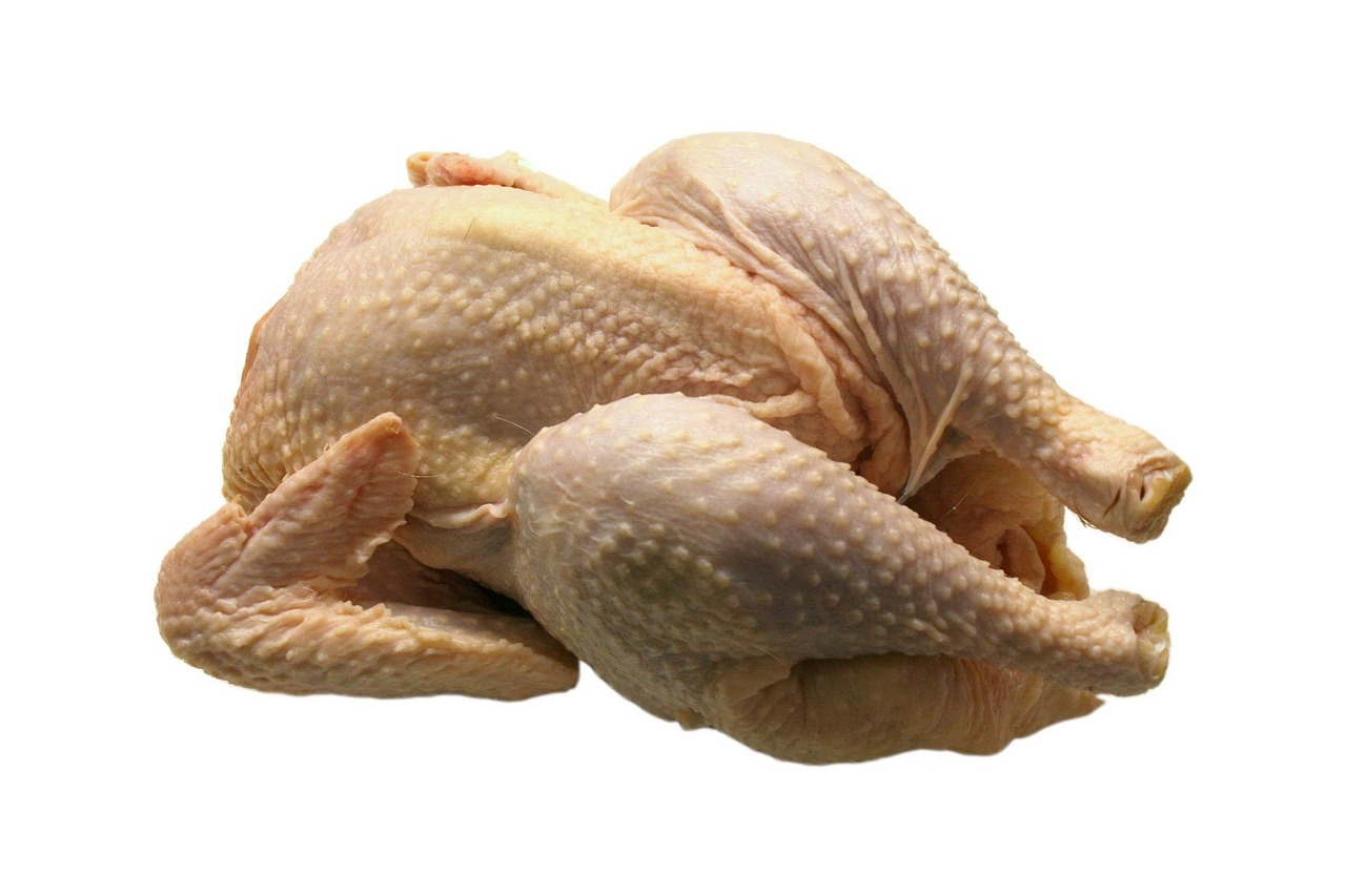 chicken, broiler, flesh